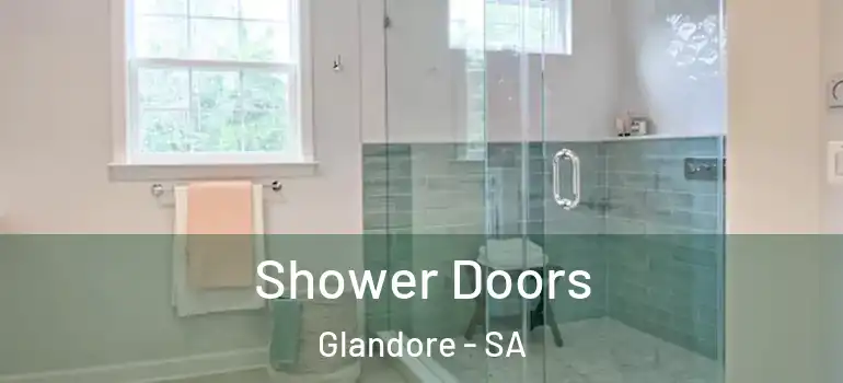 Shower Doors Glandore - SA