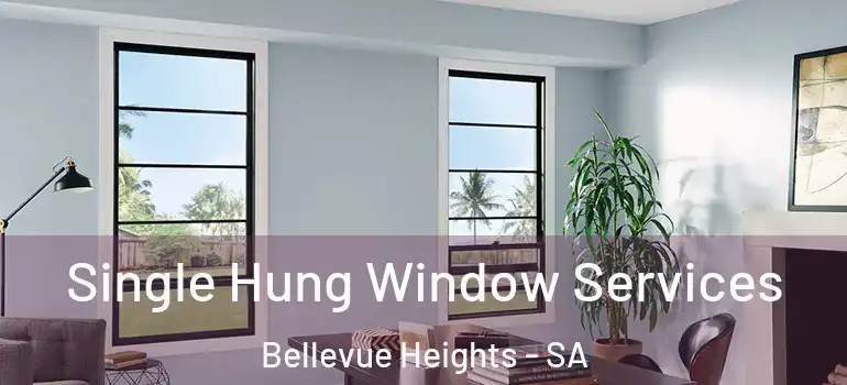 Single Hung Window Services Bellevue Heights - SA