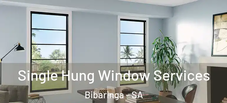 Single Hung Window Services Bibaringa - SA
