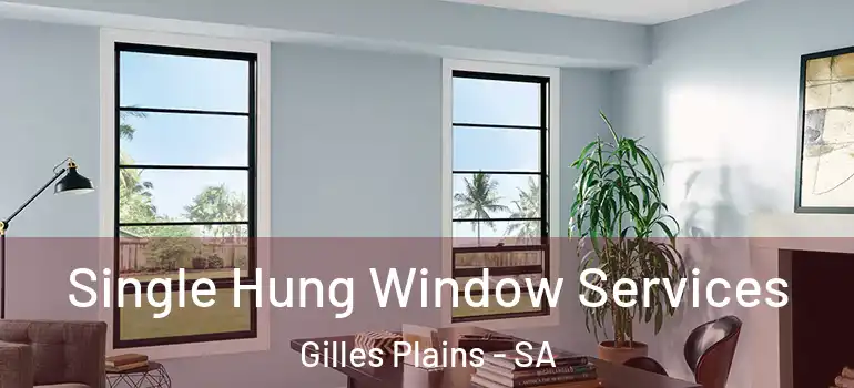 Single Hung Window Services Gilles Plains - SA