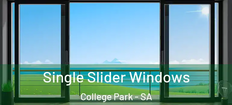 Single Slider Windows College Park - SA