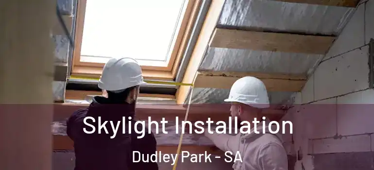 Skylight Installation Dudley Park - SA