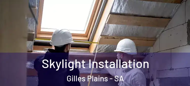 Skylight Installation Gilles Plains - SA