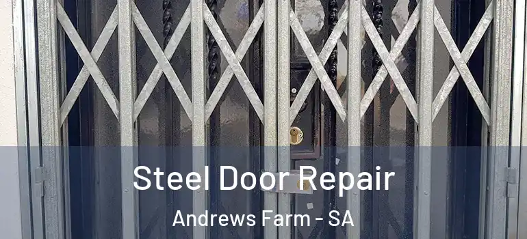 Steel Door Repair Andrews Farm - SA