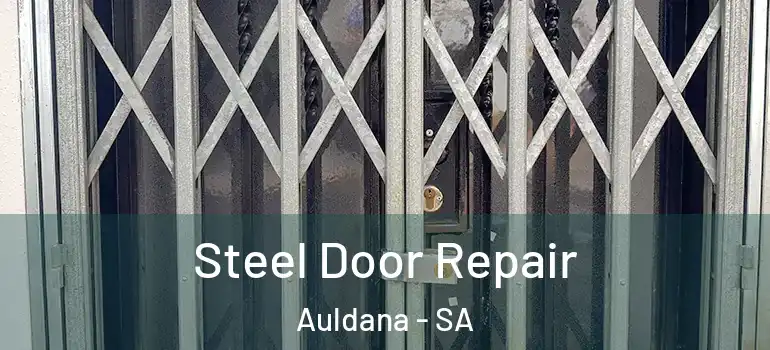 Steel Door Repair Auldana - SA