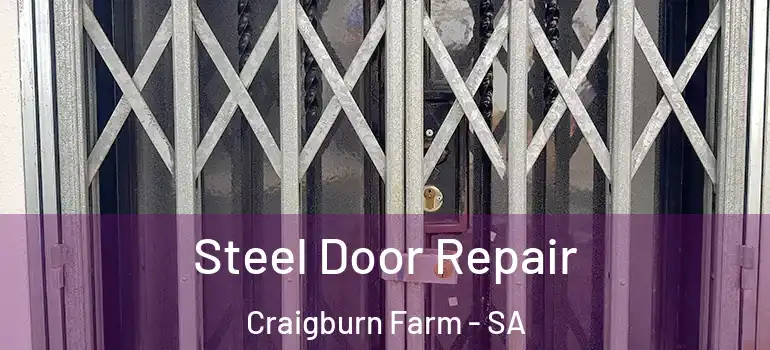 Steel Door Repair Craigburn Farm - SA