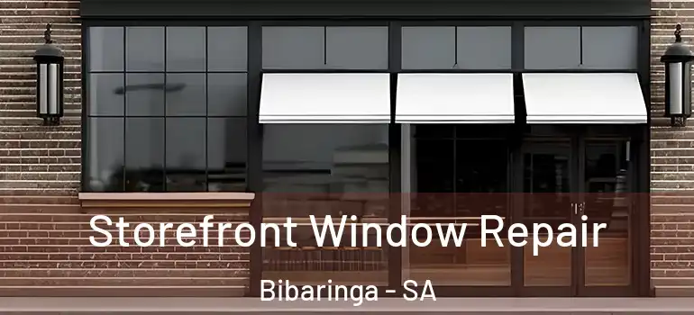 Storefront Window Repair Bibaringa - SA