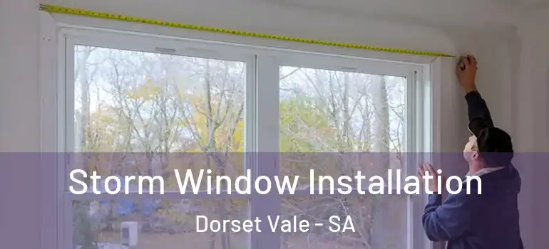 Storm Window Installation Dorset Vale - SA