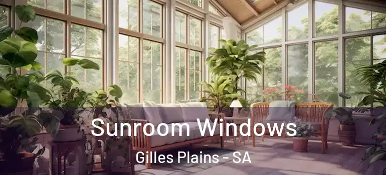 Sunroom Windows Gilles Plains - SA