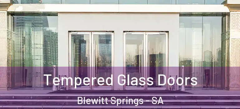 Tempered Glass Doors Blewitt Springs - SA