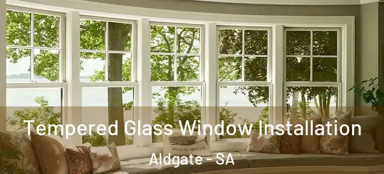 Tempered Glass Window Installation Aldgate - SA