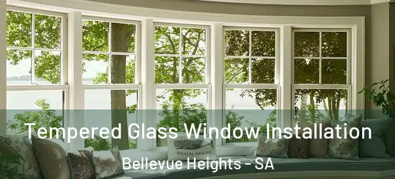 Tempered Glass Window Installation Bellevue Heights - SA