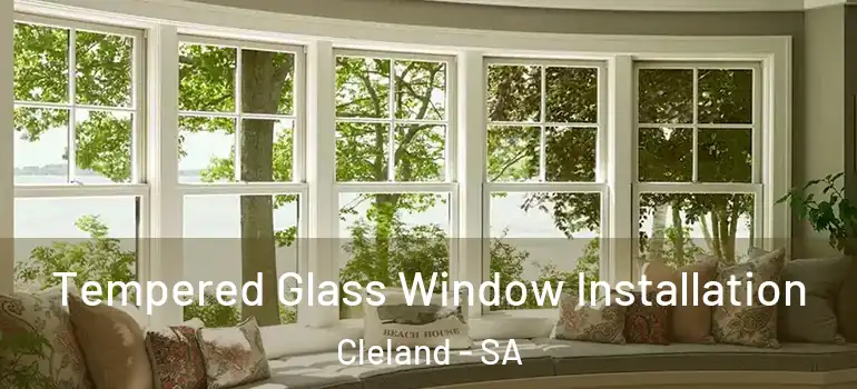 Tempered Glass Window Installation Cleland - SA