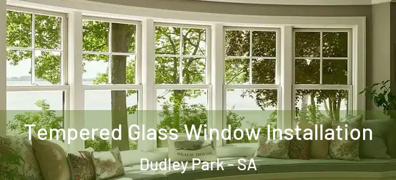 Tempered Glass Window Installation Dudley Park - SA
