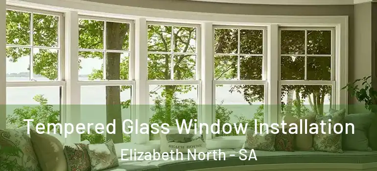 Tempered Glass Window Installation Elizabeth North - SA