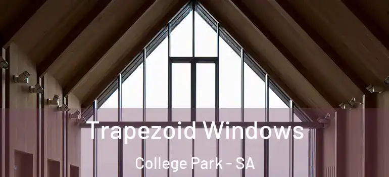  Trapezoid Windows College Park - SA