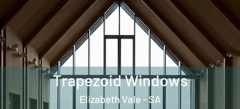  Trapezoid Windows Elizabeth Vale - SA