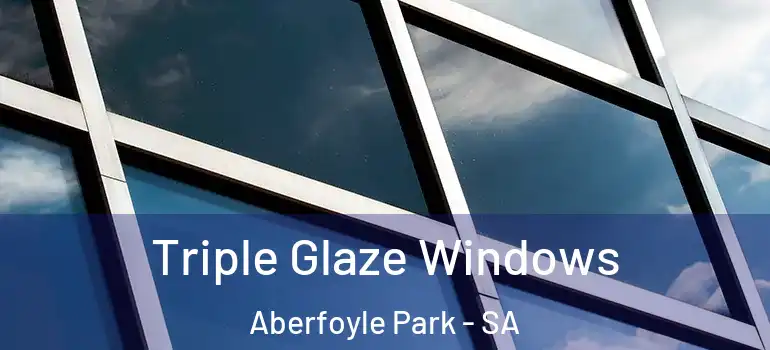 Triple Glaze Windows Aberfoyle Park - SA