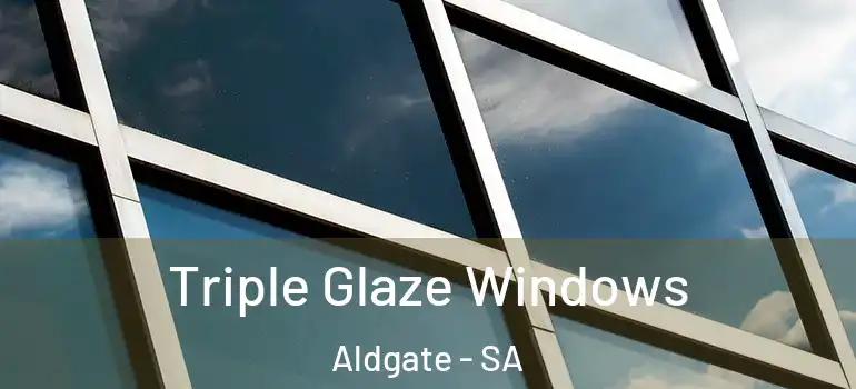 Triple Glaze Windows Aldgate - SA
