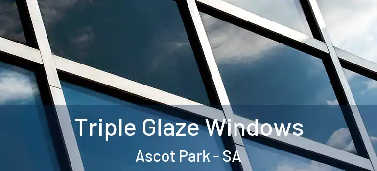 Triple Glaze Windows Ascot Park - SA