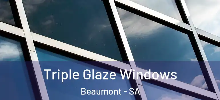 Triple Glaze Windows Beaumont - SA