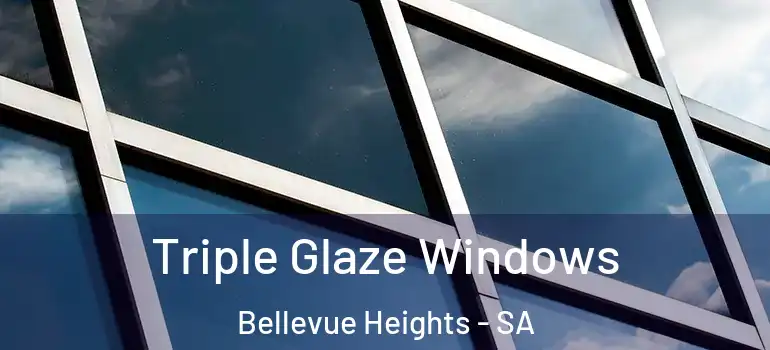 Triple Glaze Windows Bellevue Heights - SA