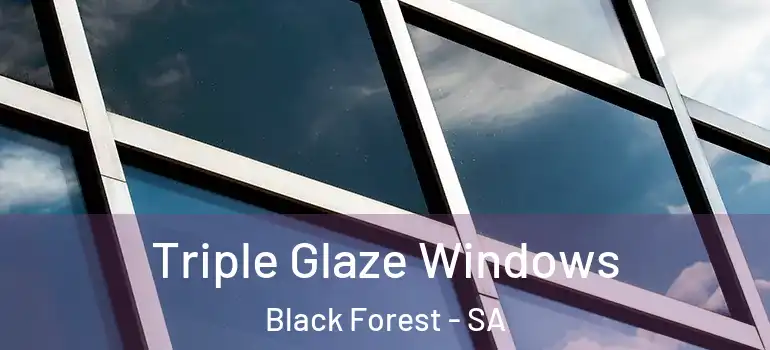 Triple Glaze Windows Black Forest - SA