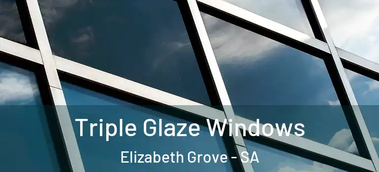 Triple Glaze Windows Elizabeth Grove - SA