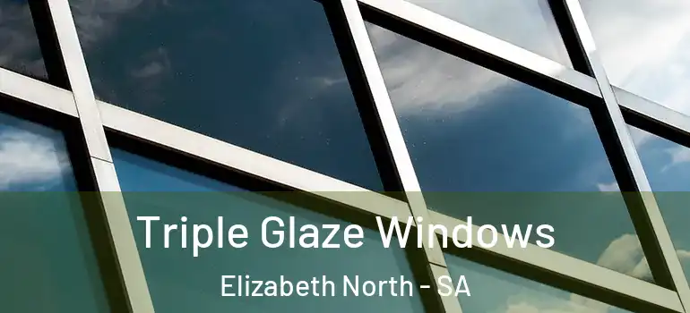 Triple Glaze Windows Elizabeth North - SA