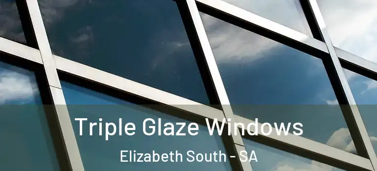Triple Glaze Windows Elizabeth South - SA