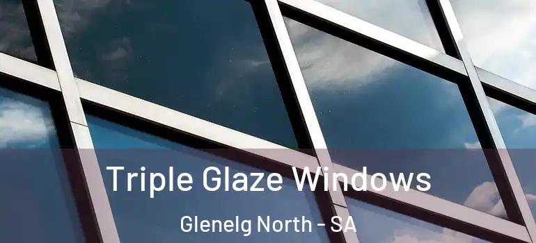 Triple Glaze Windows Glenelg North - SA