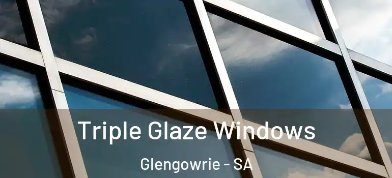 Triple Glaze Windows Glengowrie - SA