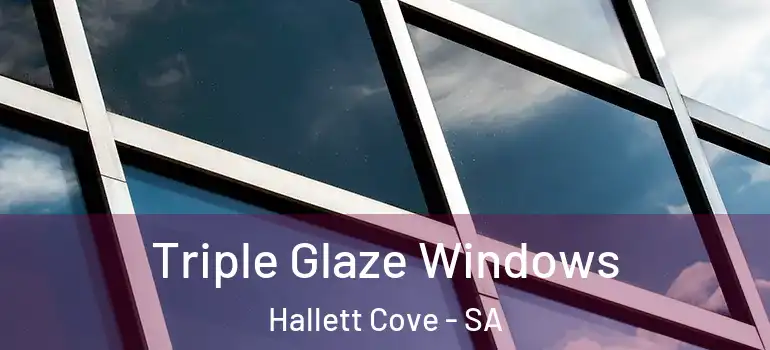 Triple Glaze Windows Hallett Cove - SA