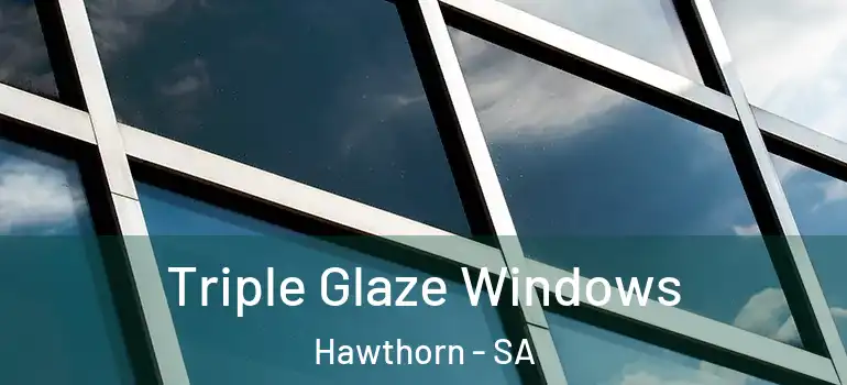 Triple Glaze Windows Hawthorn - SA