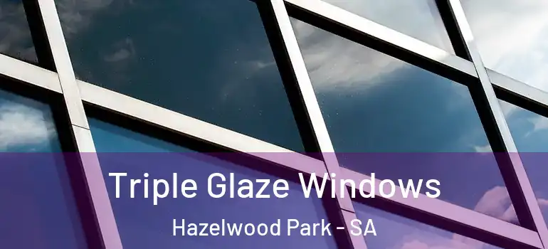 Triple Glaze Windows Hazelwood Park - SA