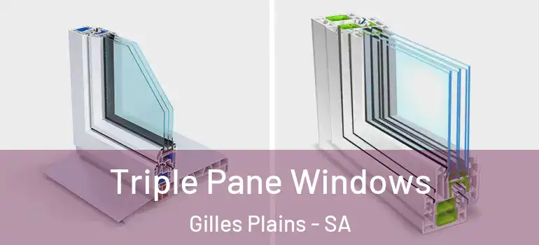 Triple Pane Windows Gilles Plains - SA