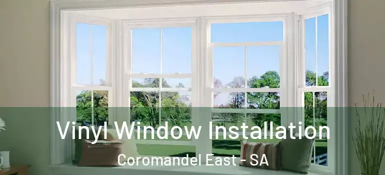 Vinyl Window Installation Coromandel East - SA