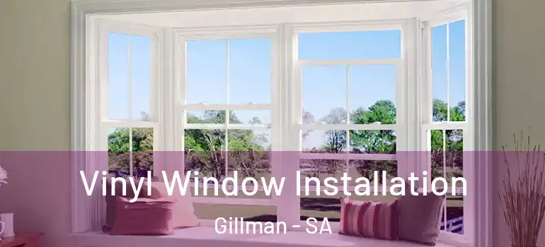 Vinyl Window Installation Gillman - SA