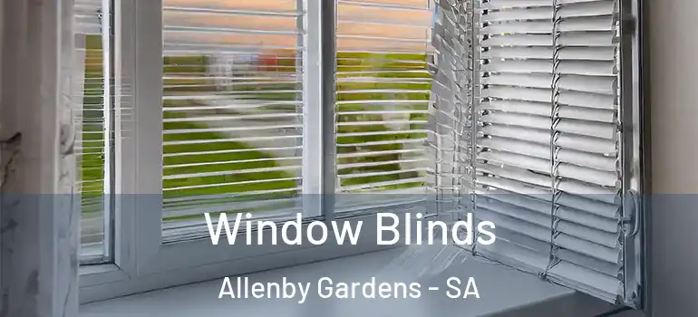 Window Blinds Allenby Gardens - SA