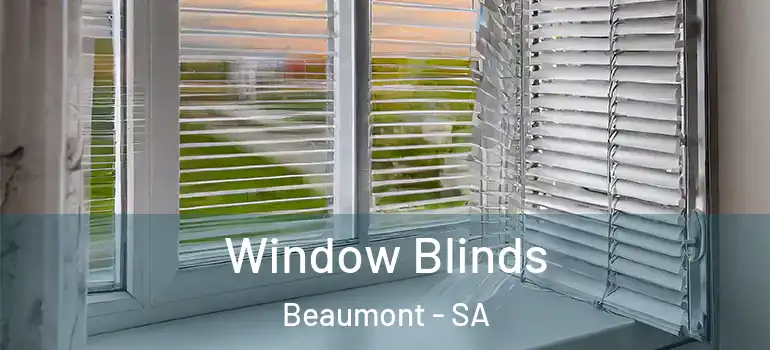 Window Blinds Beaumont - SA
