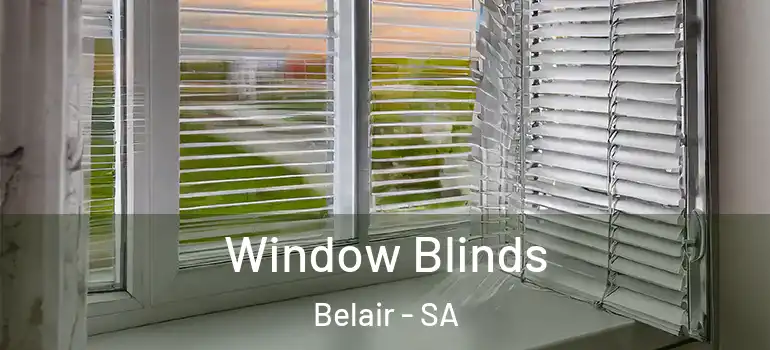 Window Blinds Belair - SA