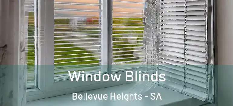 Window Blinds Bellevue Heights - SA