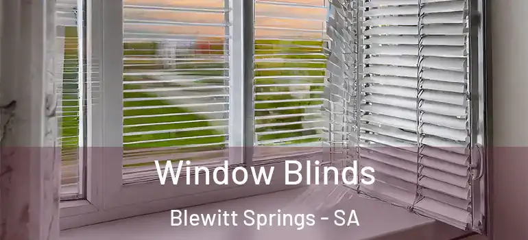 Window Blinds Blewitt Springs - SA
