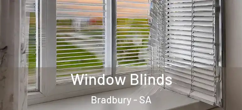 Window Blinds Bradbury - SA