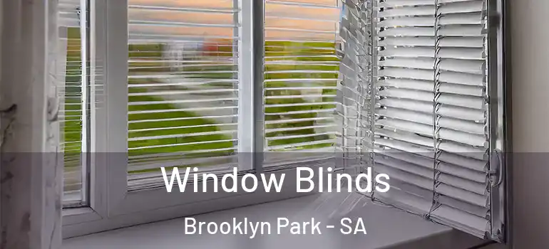 Window Blinds Brooklyn Park - SA