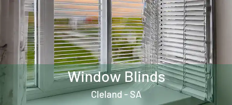 Window Blinds Cleland - SA