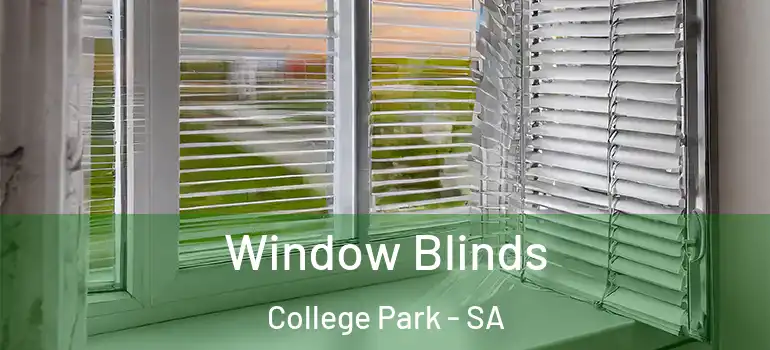 Window Blinds College Park - SA