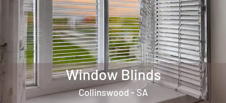 Window Blinds Collinswood - SA