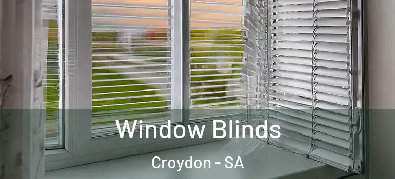 Window Blinds Croydon - SA