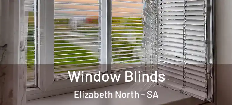Window Blinds Elizabeth North - SA